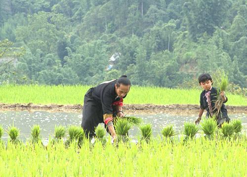 tap 14 bo oi mua 3: "luc duc noi bo" khi thanh duoc, hong dang lien tiep ke toi hai anh - 11